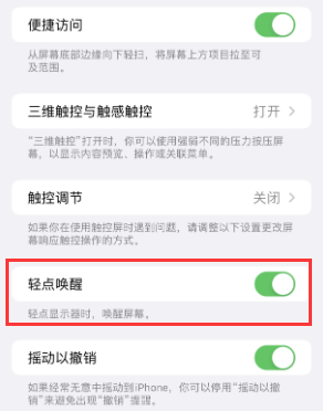 卫东苹果授权维修站分享iPhone轻点无法唤醒怎么办 