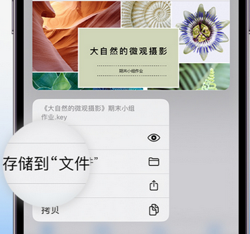 卫东apple维修中心分享iPhone文件应用中存储和找到下载文件