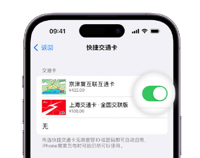 卫东apple维修点分享iPhone上更换Apple Pay快捷交通卡手绘卡面 