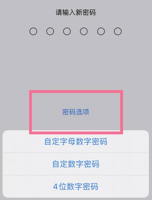 卫东苹果14维修分享iPhone 14plus设置密码的方法 