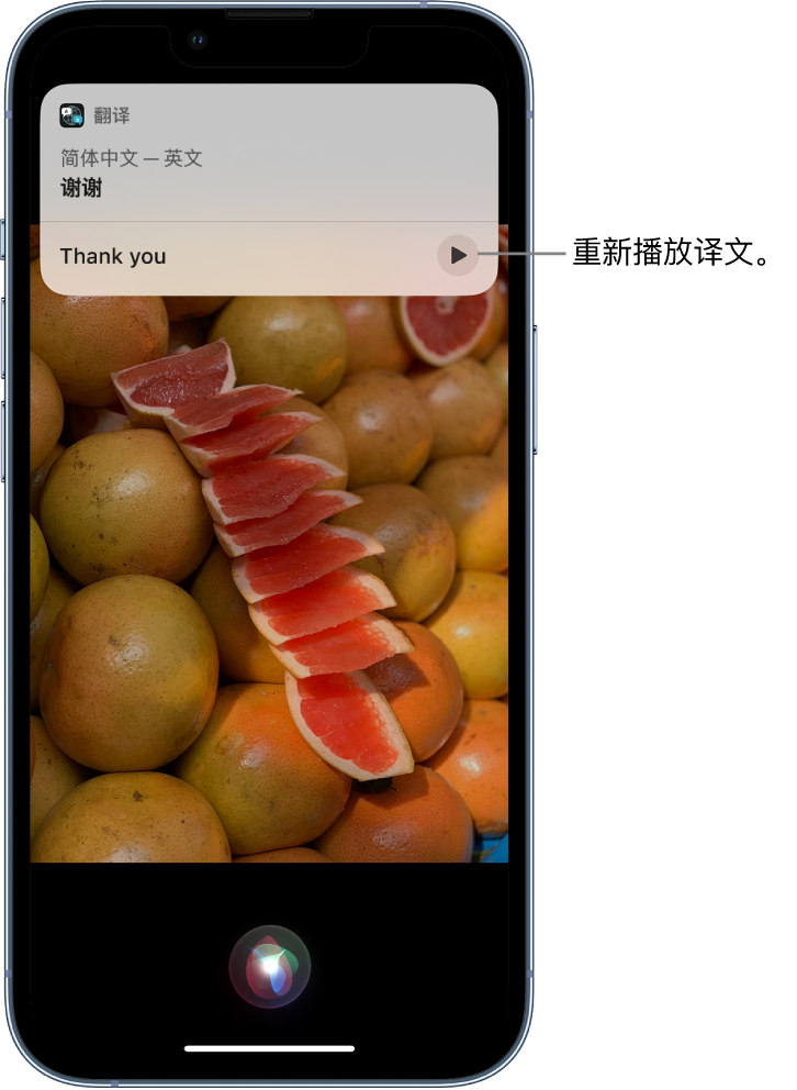 卫东苹果14维修分享 iPhone 14 机型中使用 Siri：了解 Siri 能帮你做什么 