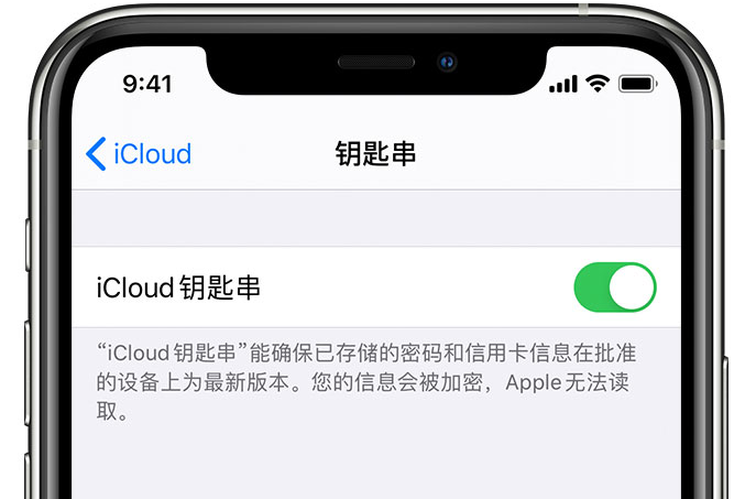 卫东苹果手机维修分享在 iPhone 上开启 iCloud 钥匙串之后会储存哪些信息 