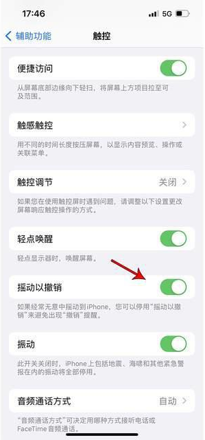 卫东苹果手机维修分享iPhone手机如何设置摇一摇删除文字 