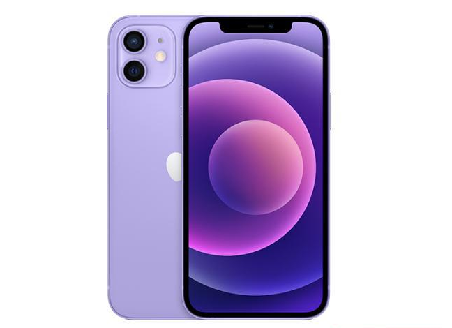 卫东苹果手机维修分享现阶段要不要入手紫色版iPhone12 